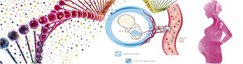 کلینیک و آزمایشگاه ژنتیک پارس ژنوم