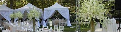  تشریفات مجالس ویولا