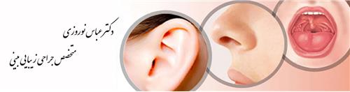 مطب دکتر عباس نوروزی، متخصص گوش، حلق و بینی، آندوسکپی بینی و سینوس 