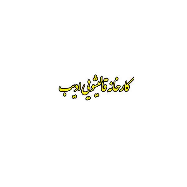 کارخانه قالیشویی ادیب